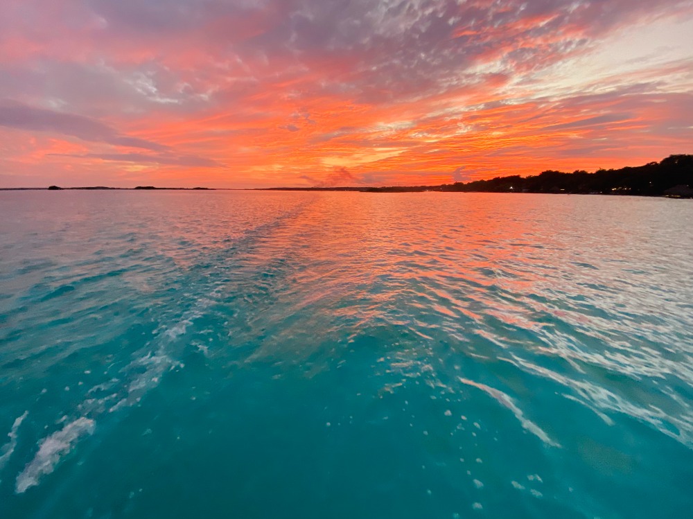 Adorable Bacalar 1